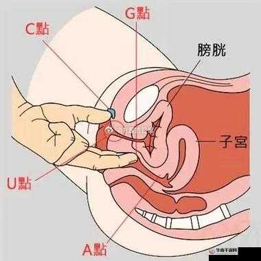 大 BBw 撒尿 BBw 喷液：探索女性生理奇观