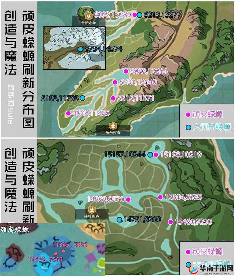 创造与魔法游戏内顽皮蝾螈饲料制作方法及所需数量全面揭秘攻略