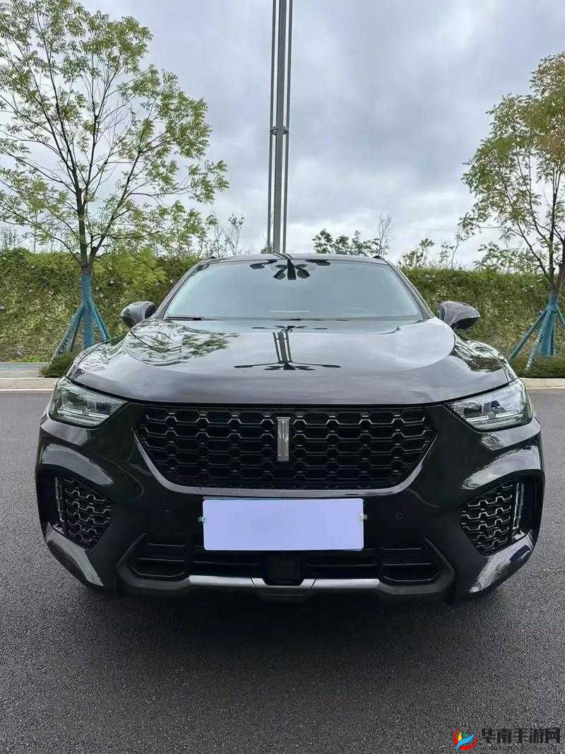 国产 SUV 标杆 WEY VV5 精彩视频呈现