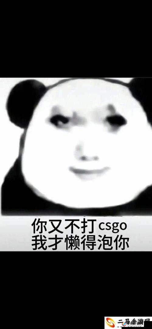 暴躁老姐教你玩 CSGO：提升实力的秘诀就在这里
