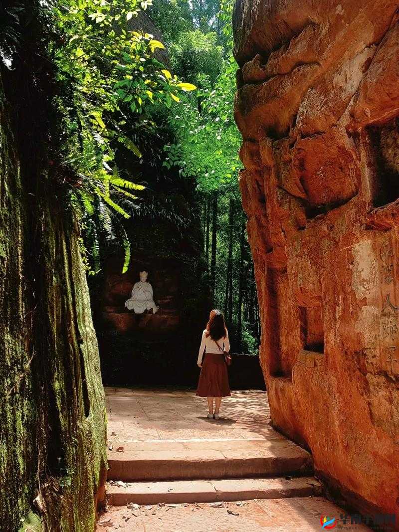 探秘江湖传奇，一场穿越古寺密林、探寻幽深秘境的非凡之旅
