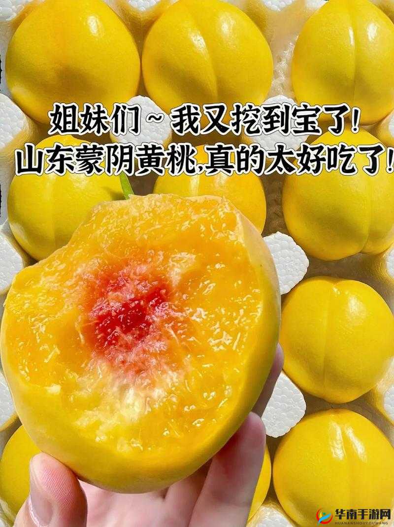 9612黄桃网站手机使用体验分享：如何通过这款手机告别日常烦恼？