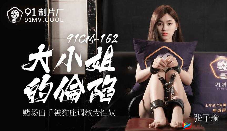 离婚谈判张子瑜传媒：揭秘如何在复杂情感中达成共识与和解