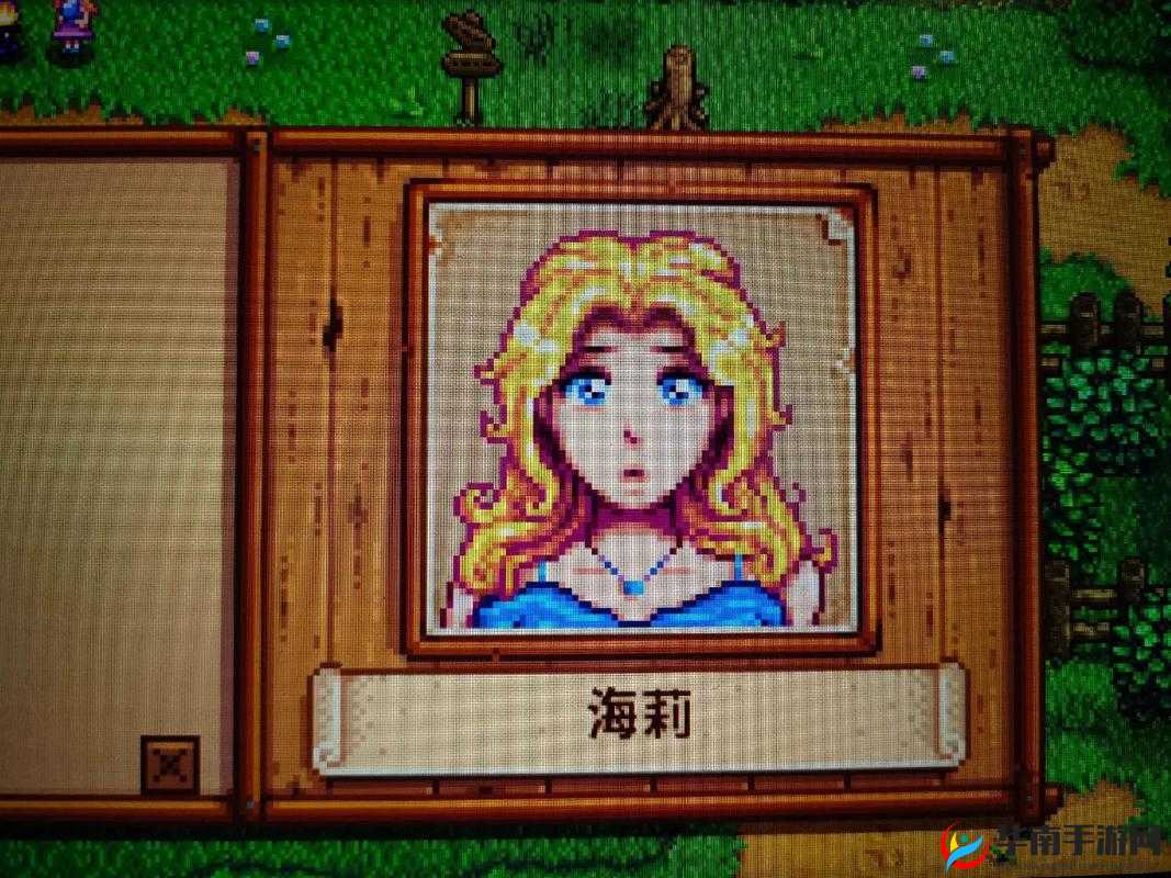 星露谷物语角色海莉，深度解析其时尚品味与摄影爱好者身份