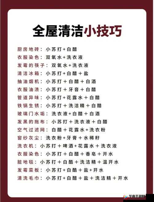 卫生间6分34秒：如何高效利用时间进行日常清洁与整理的小技巧