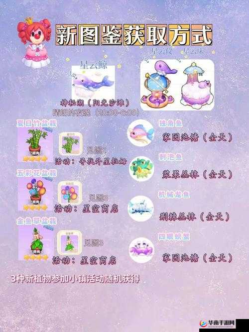 摩尔庄园水上家具摆放技巧揭秘，它的演变历程究竟如何？