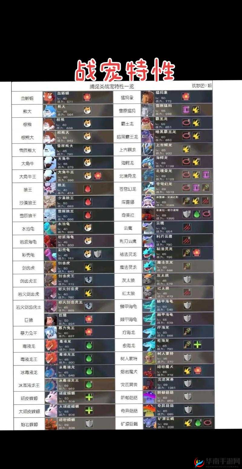 创造与魔法老牌攻击型宠物，谁才是隐藏的战斗王者？深度剖析来袭！