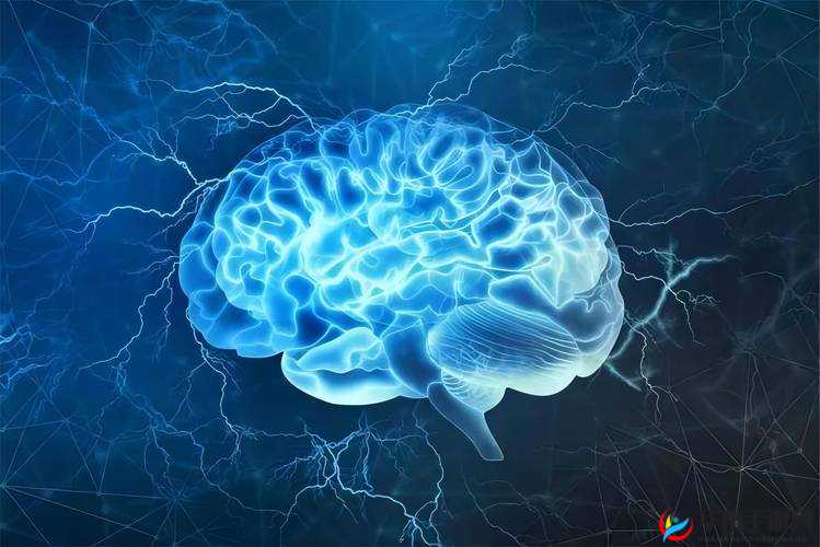 探索真人头颅标本的奥秘：解剖学与医学教育的珍贵资源
