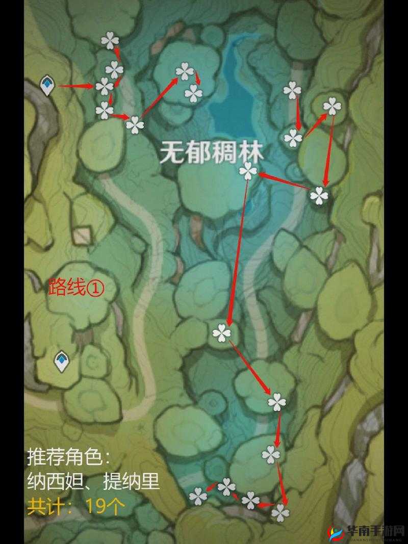 原神须弥树王圣体菇究竟在哪里采集？深度解析采集地点！