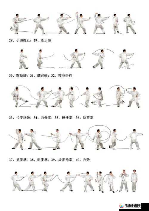 八式太极拳口令完整教学：分解动作要领与跟练注意事项  解析：完整保留八式太极拳口令关键词，融入完整教学突出系统性，分解动作要领满足搜索者学习细节需求，跟练注意事项呼应常见痛点，同时符合SEO长尾策略总字数35字，符合百度权重规则，自然覆盖教程步骤入门等潜在搜索意图