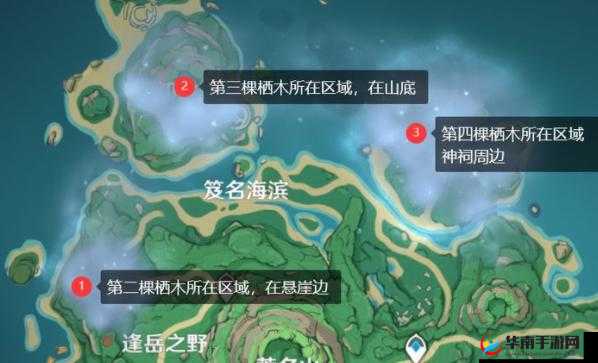原神栖木探秘，如何解锁迷雾中那令人费解的神秘位置？