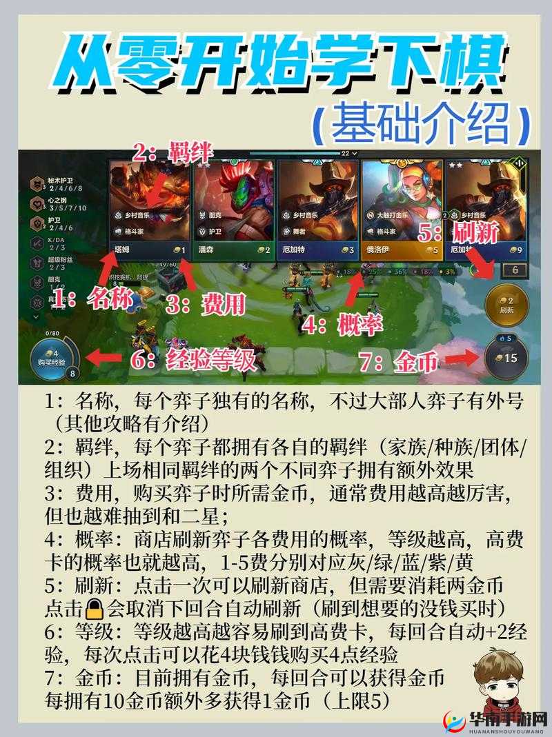 金铲铲之战金龙为何如此强势？底层逻辑与实战技巧全面揭秘！