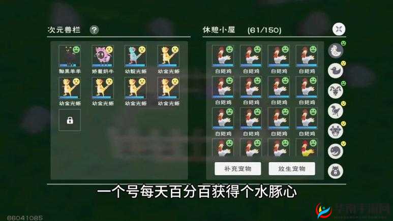 如何在创造与魔法中智慧捕捉宠物？揭秘资源管理的高效实践策略