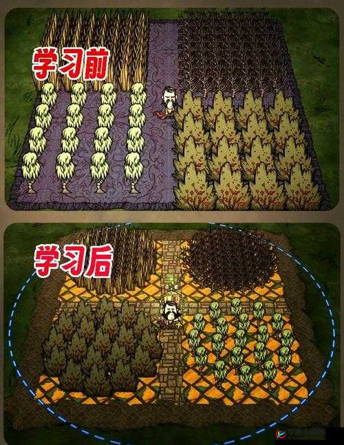 饥荒生存必备，哪9大黄金建家地址能助你绝境逢生？