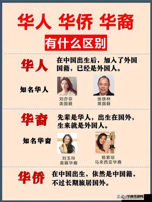 8x8x华人究竟是什么？最新动态与热点解读，快来一探究竟
