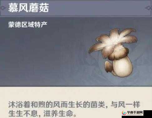 原神玩家必看，慕风蘑菇高效采集法深度解析，你真的掌握了吗？