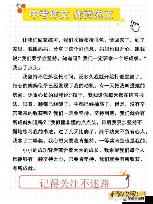 陆婷婷的故事：从平凡到非凡的成长历程与感人瞬间全记录