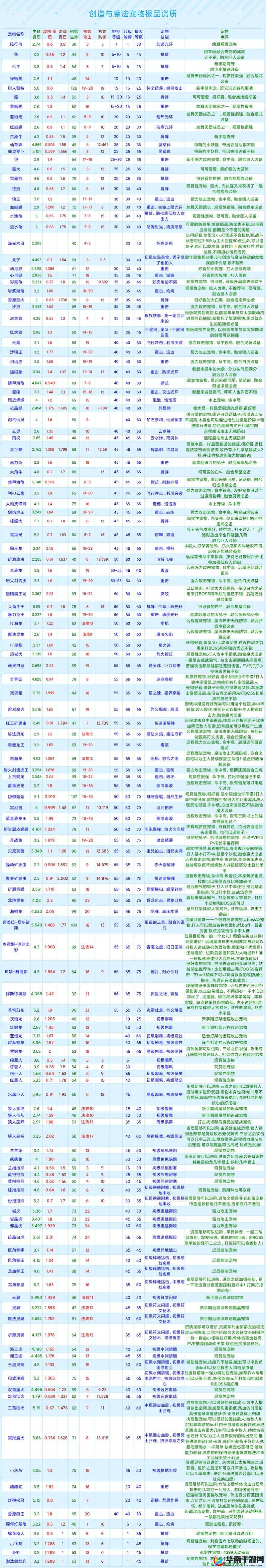创造与魔法宠物资质如何提升？未来玩法又将迎来哪些革命？
