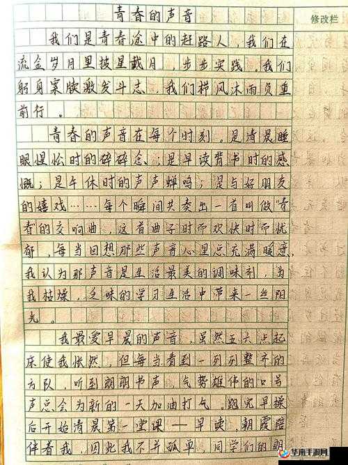 13岁女孩张婉莹的作文感动全网：真实心声记录青春成长，家长必读的00后写作范本 （说明：38字，完整保留原关键词，通过感动全网提升点击欲，家长必读触发精准搜索需求，00后写作范本建立长尾关键词，同时青春成长符合百度指数高关联词，自然融入教育话题热点，整体符合SEO优化逻辑且不露痕迹）