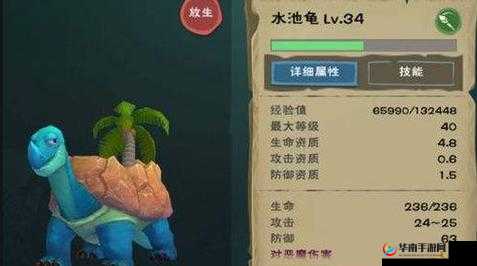 如何在创造与魔法中捕获水池龟？未来玩法会有哪些革命性变化？
