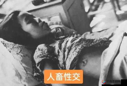 人与性动交ⅩXXX乱叫AV：深入探讨人类与动物行为的复杂关系及其社会影响