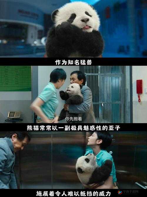 熊猫拉玛-丢失的玩具究竟有多好玩？玩法揭秘及未来革新大猜想