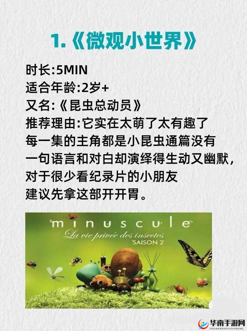 探索微观奇迹，小小看世界，这是一场别开生面的冒险之旅吗？