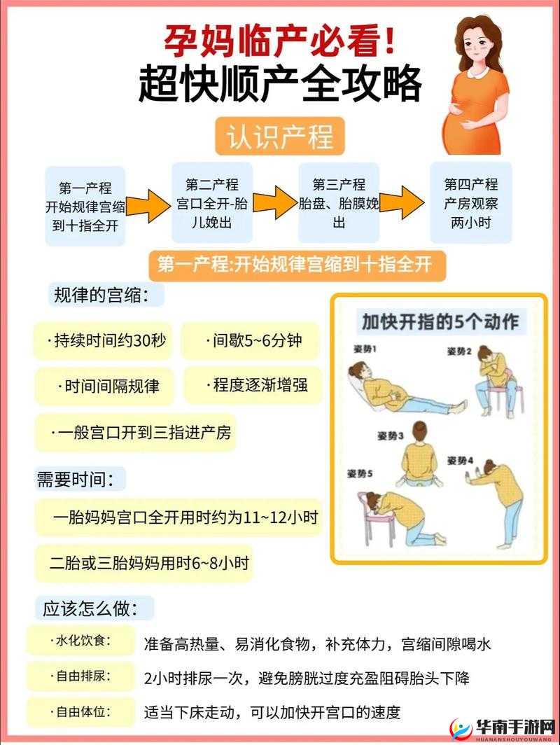 老爷驾到，新手爸妈如何应对生育挑战？生育指南大揭秘！