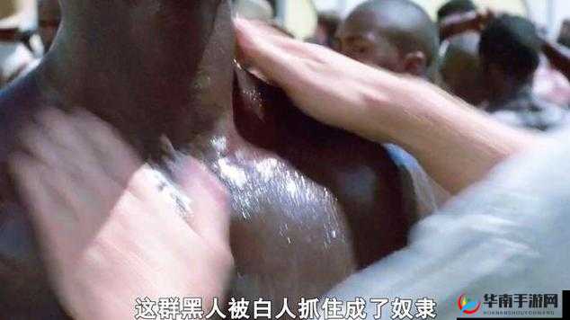 探索特大黑人巨交吊性XXXXHD的独特魅力与深度解析：全面了解其文化与艺术价值