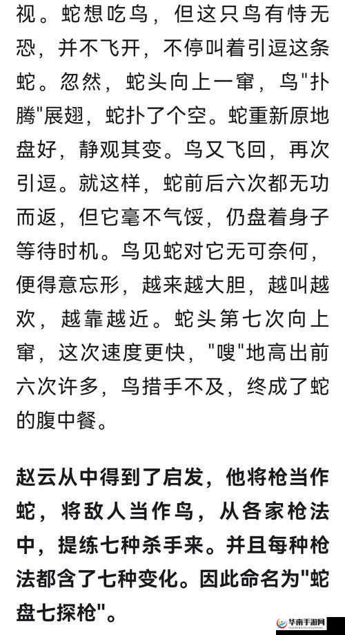 赵云在姬斗无双中究竟有多强？底层逻辑与实战操作全揭秘！