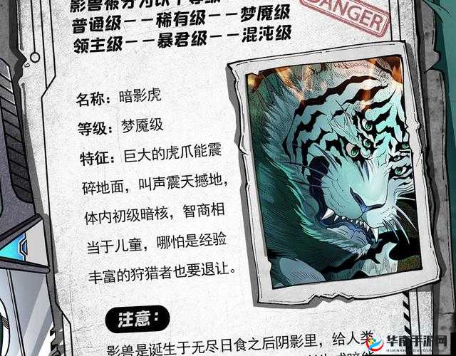 灵兽十万火急！永恒仙域神兽森林副本究竟隐藏何种秘密？
