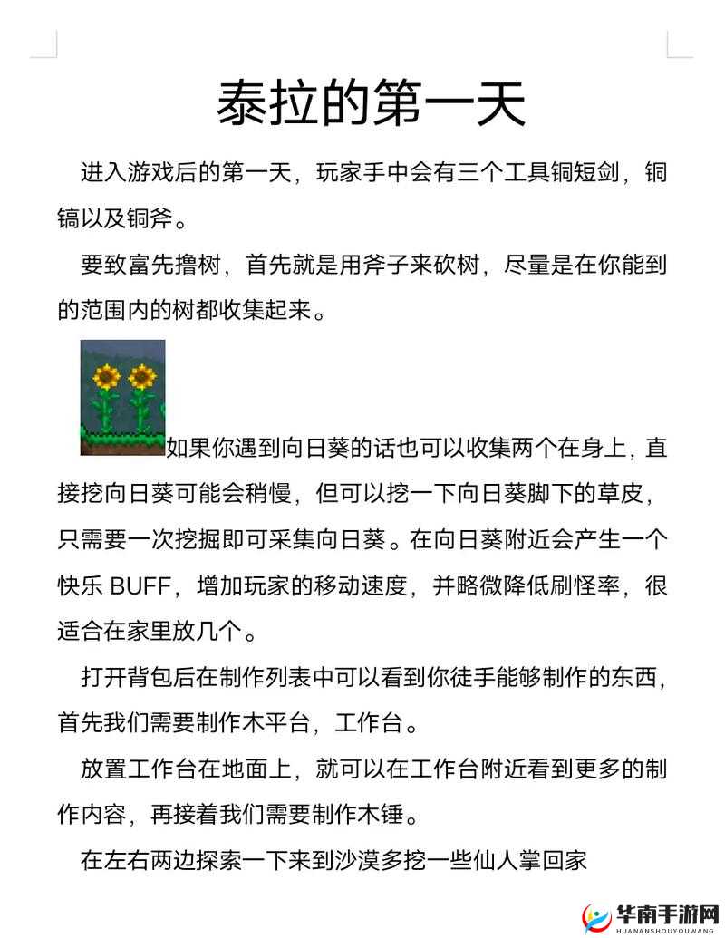 泰拉瑞亚新手开局如何巧妙布局，才能一步步迈向游戏巅峰？